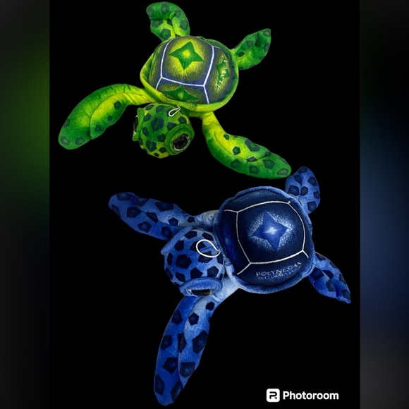 Other - Polynesian cultural center.